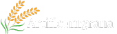 artificumgrana.com